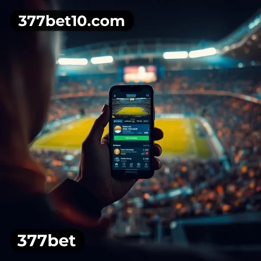 Suporte 24 horas 377bet